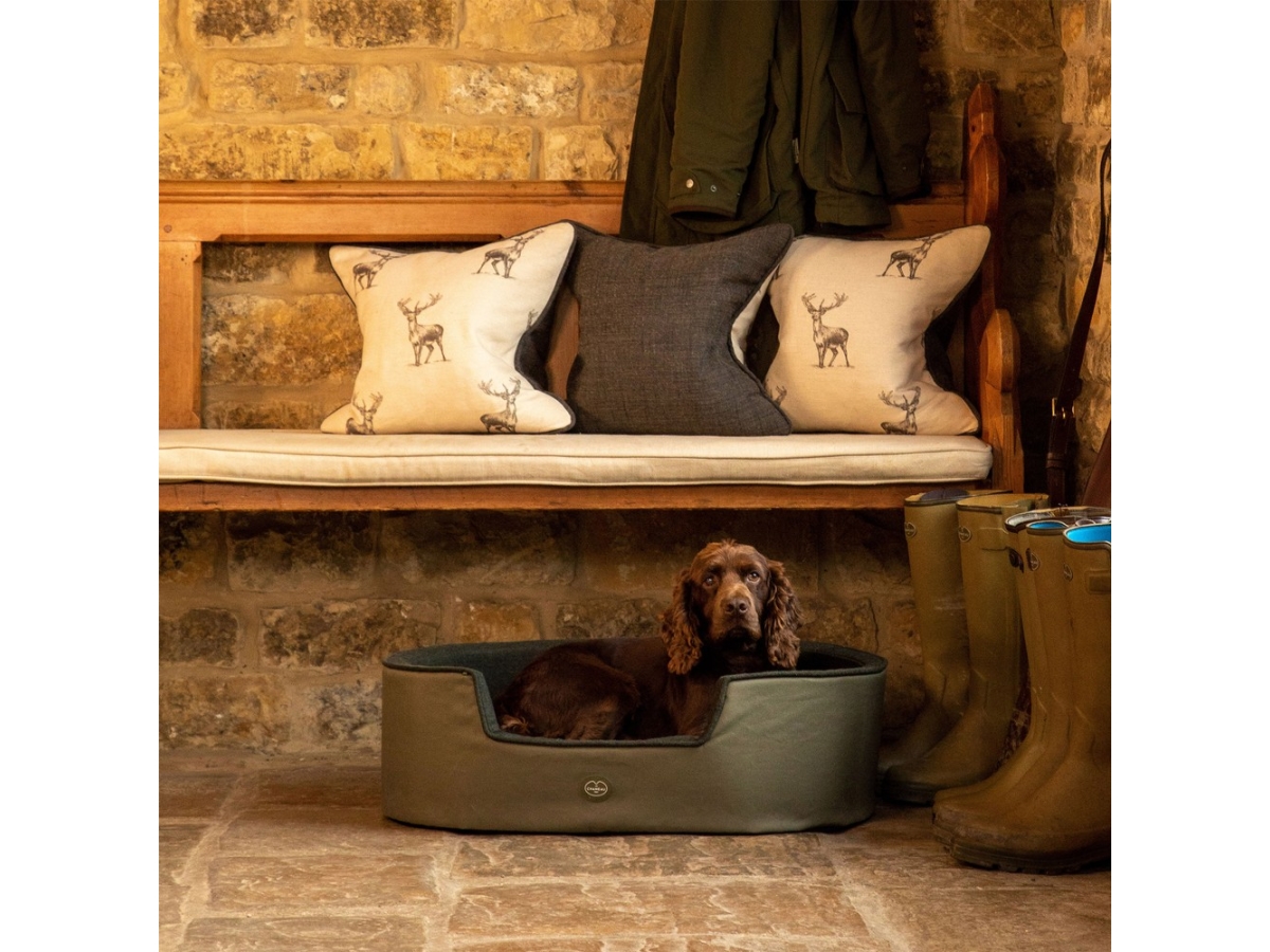green le chameau dog bed